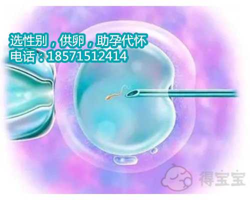<b>【广州供卵代怀机构有吗】要相信自己会好孕，分享我的经验（下） 广州试管</b>