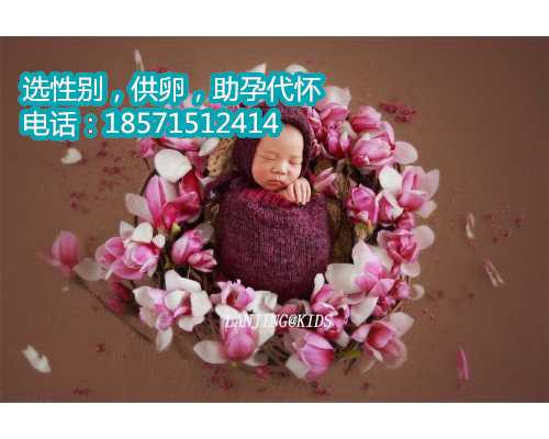 【广州供卵自怀 广州供卵论坛】坐等12周以后的全面检查，希望宝宝健康成长