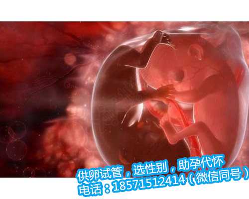 <b>【广州供卵代生小孩】孕期记录，不断更新，坚持就是胜利（上） 广州代生孩</b>